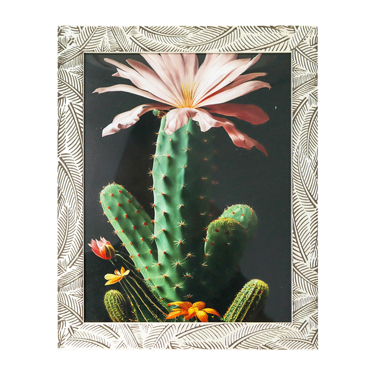 Portarretrato, Marco Hojas, 20x25 cm