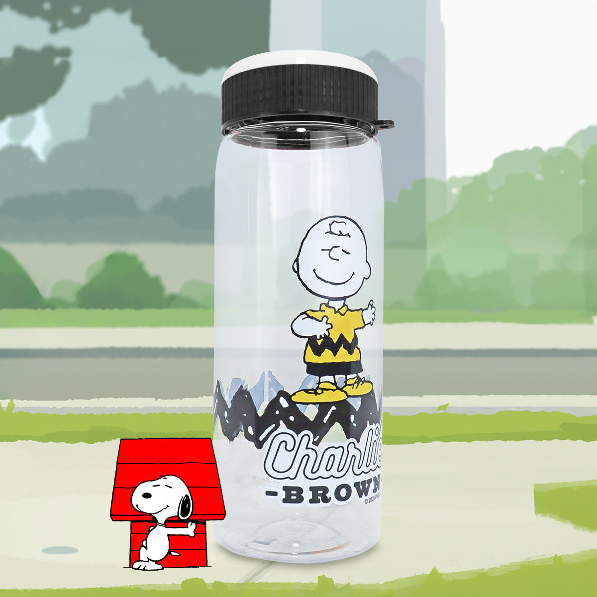 Botella de Agua Charlie Brown, Tapa Negra, 750 ml