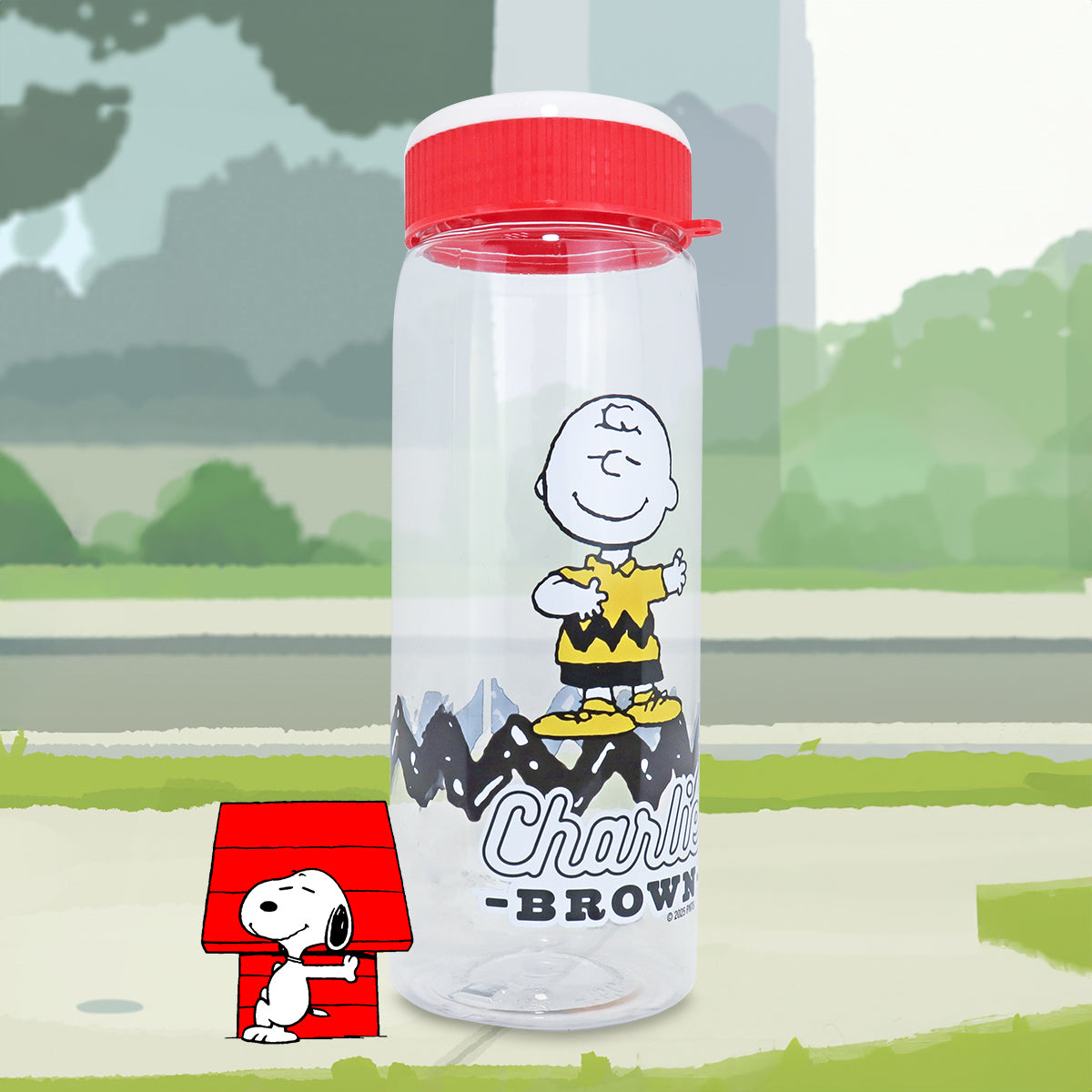 Botella de Agua Charlie Brown, 750 ml