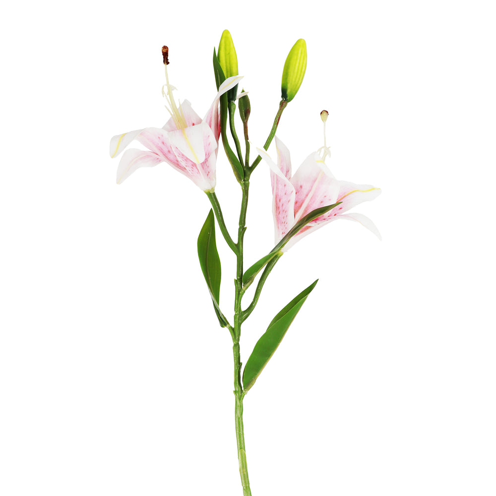 Flores Artificiales, Lirio