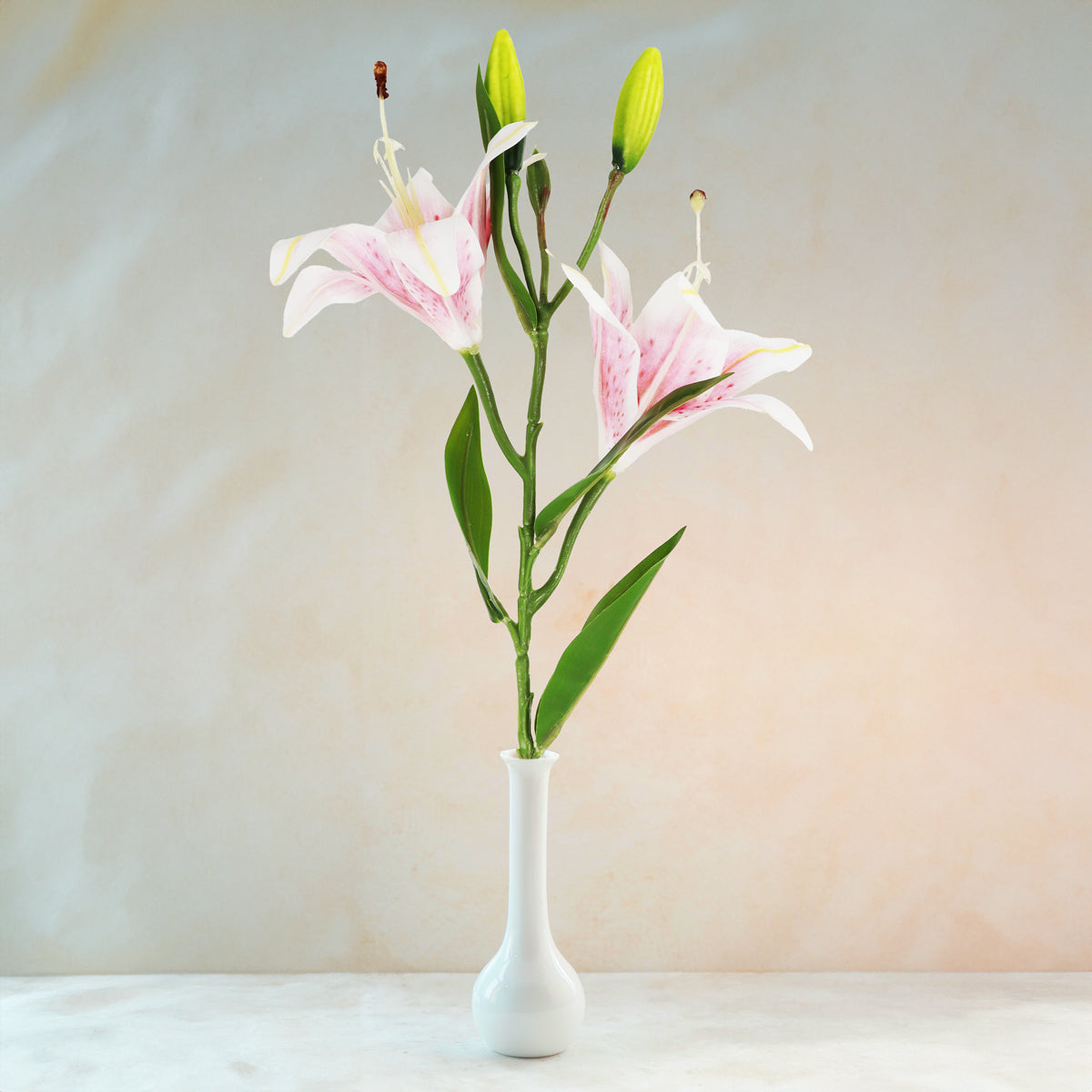 Flores Artificiales, Lirio