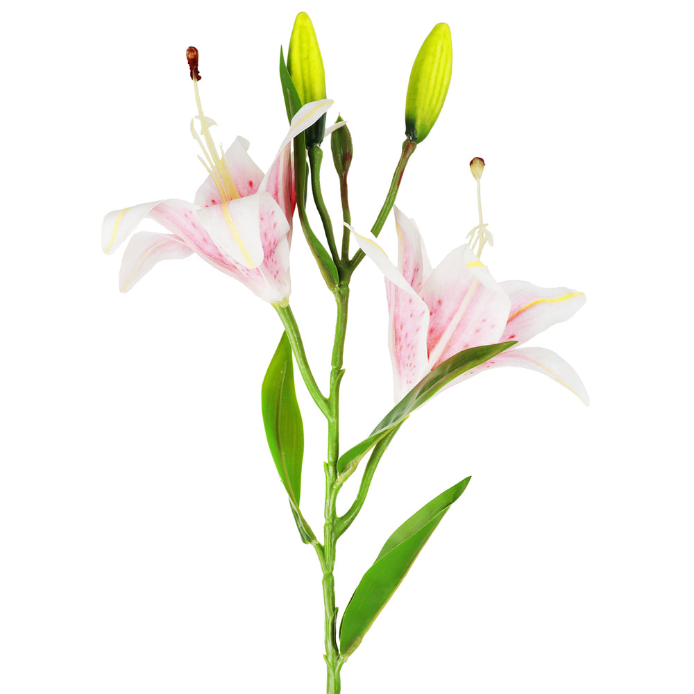 Flores Artificiales, Lirio