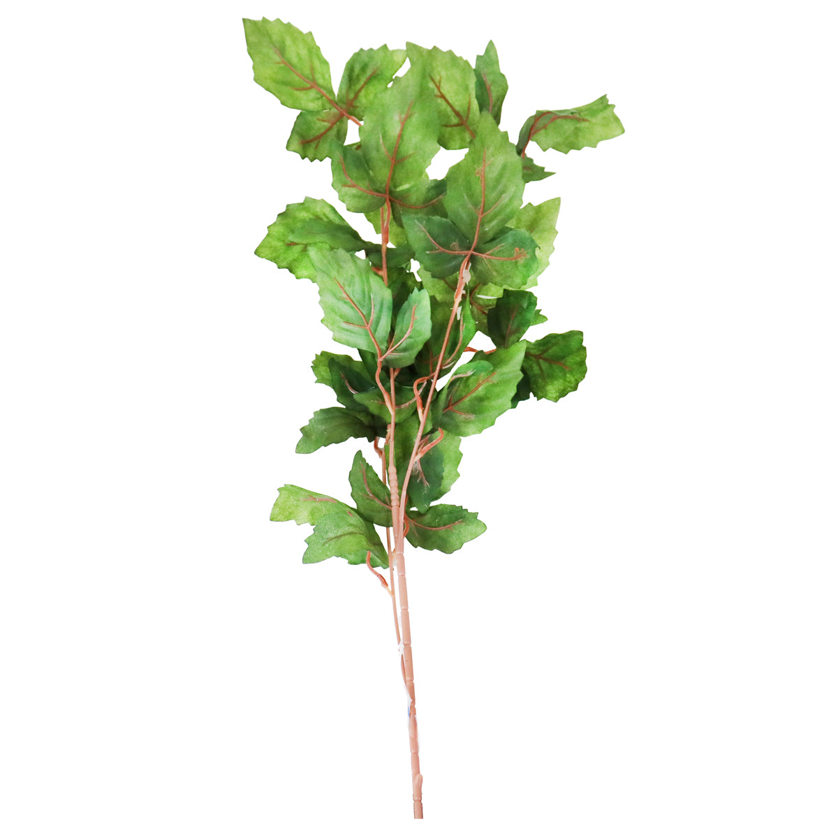 Planta, Hojas Artificiales, Color Verde