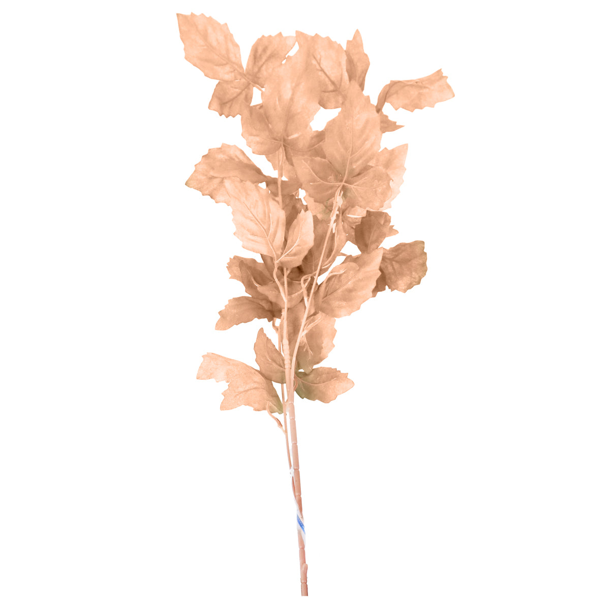 Planta, Hojas Artificiales