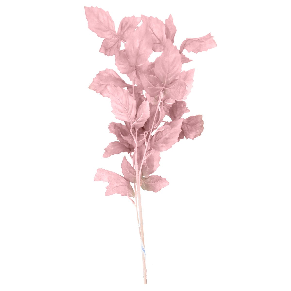 Planta, Hojas Artificiales, Color Rosa