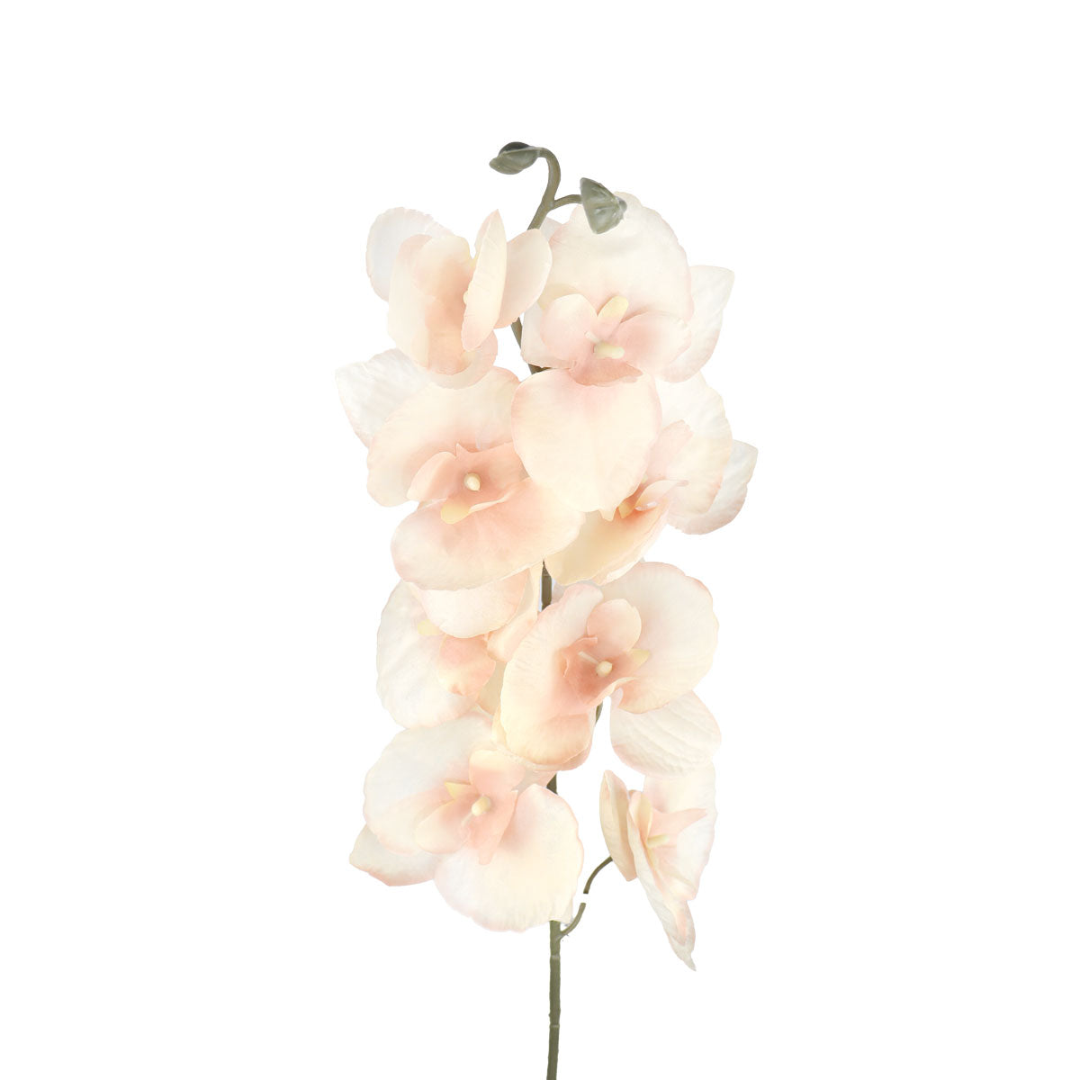 Orquídea Artificial, Color Durazno