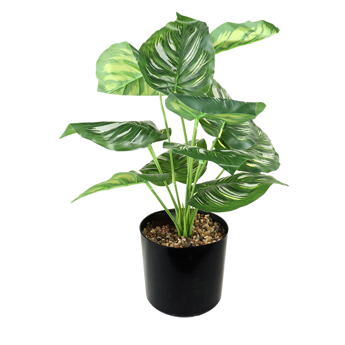 Maceta Negra con Planta Calathea Artificial