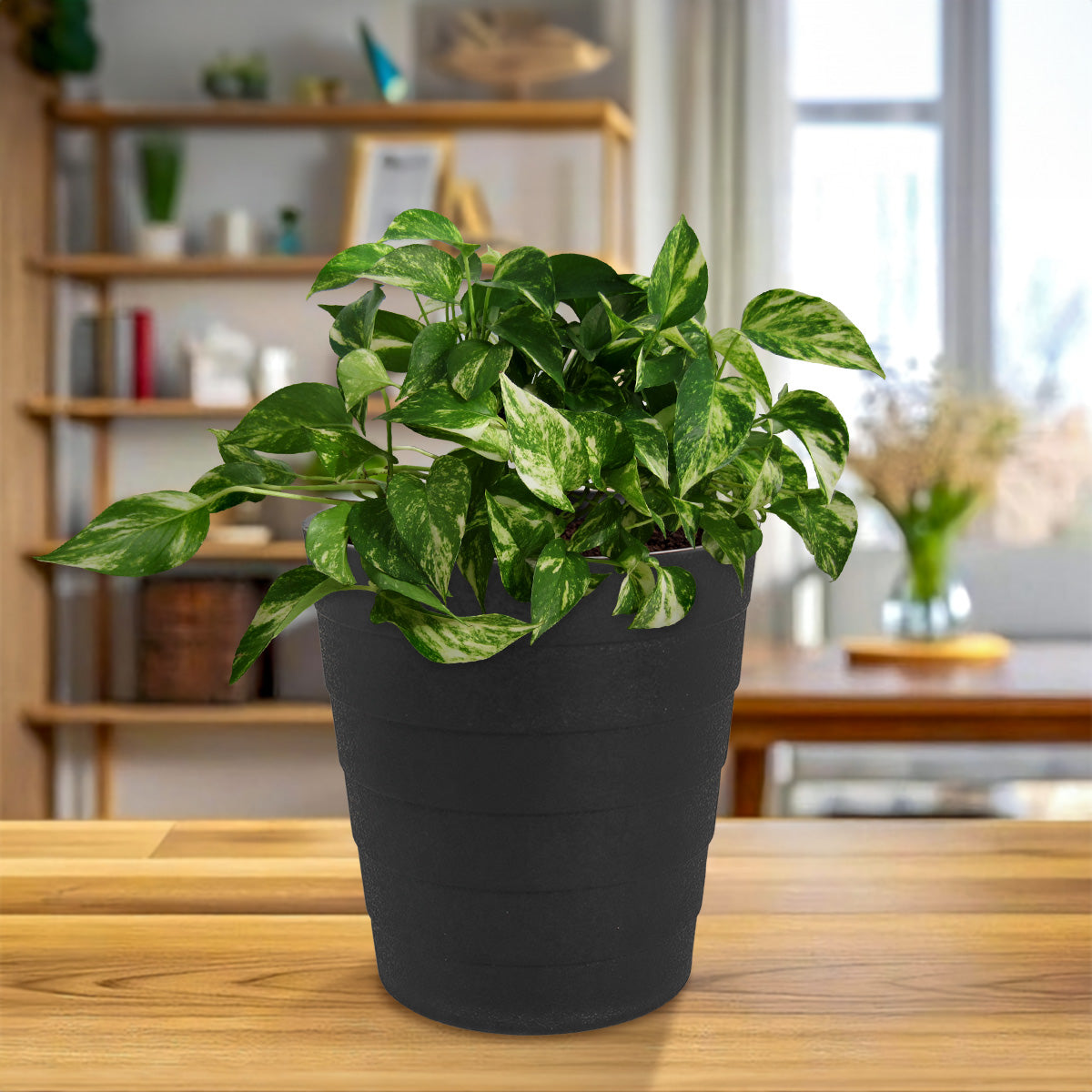 Maceta de Plástico, 15x14 cm, Color Negro