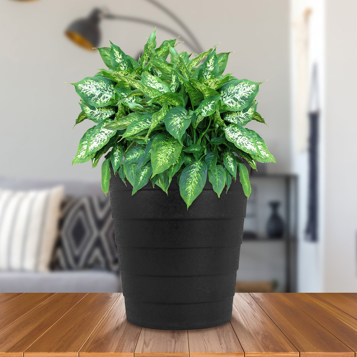 Maceta de Plástico, 15x14 cm, Color Negro