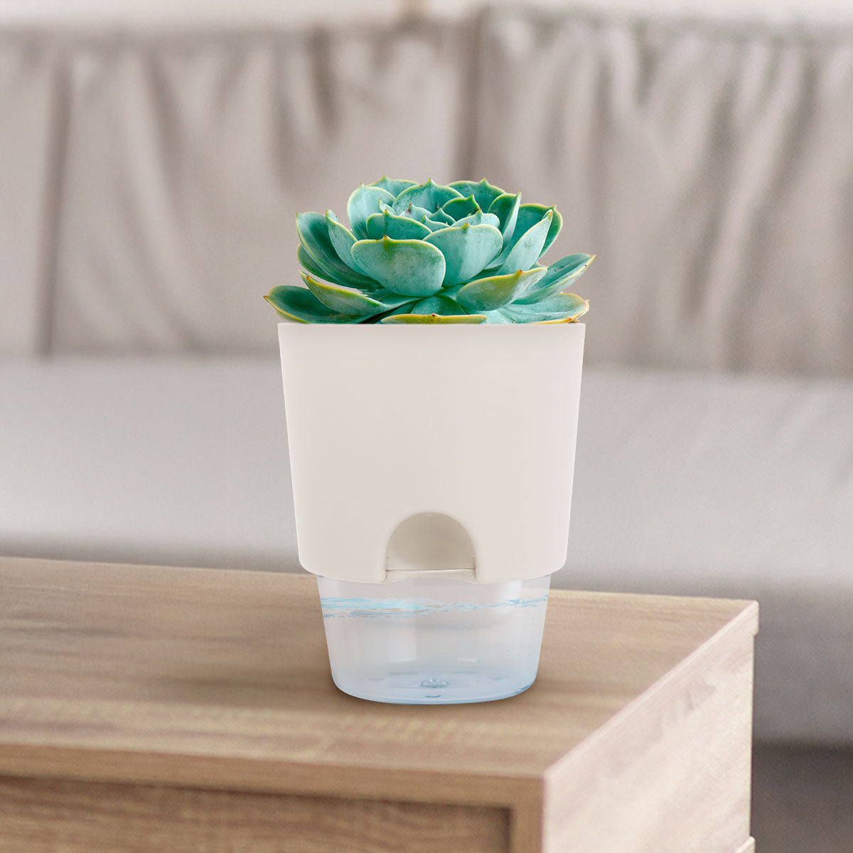 Maceta de Autorriego, Color Beige