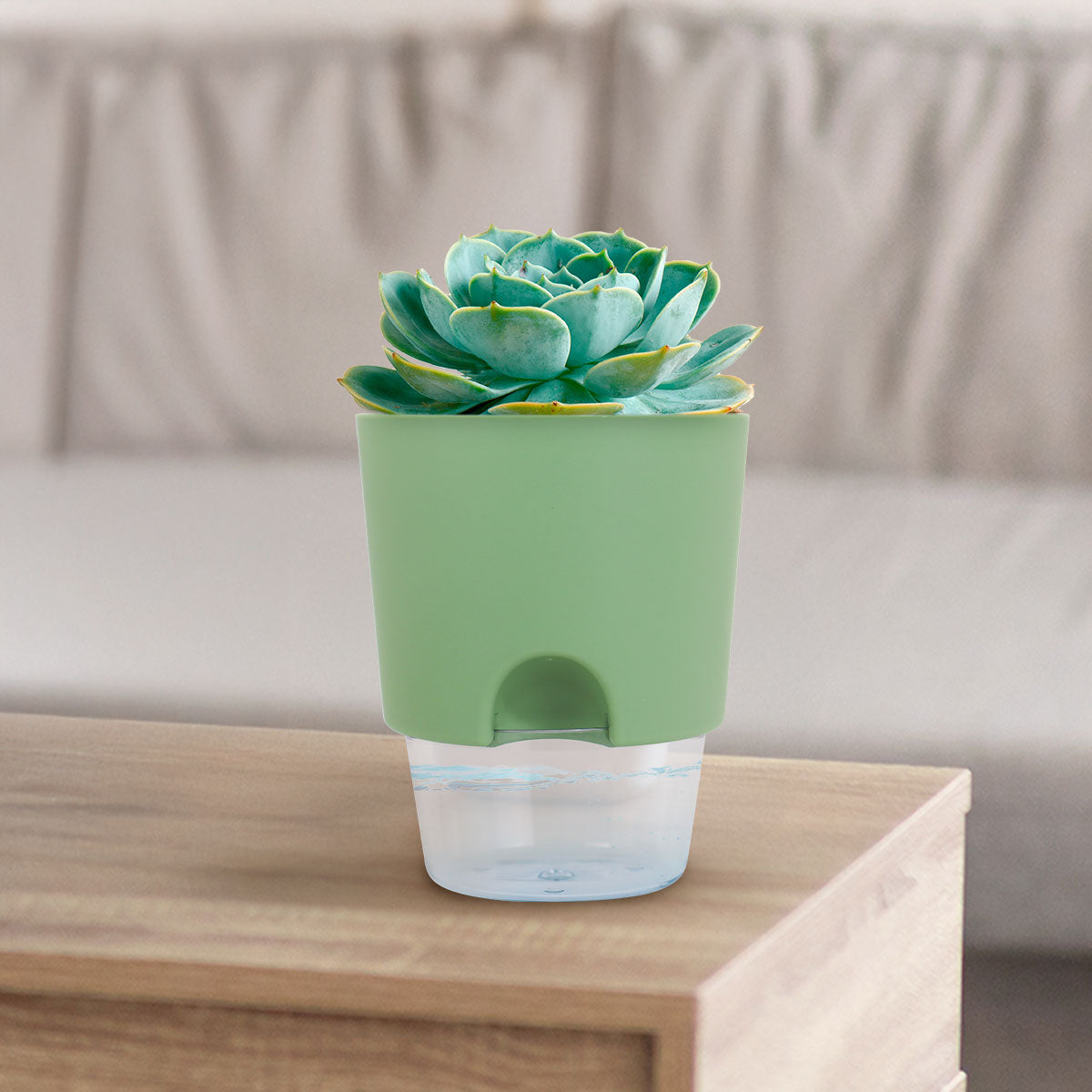 Maceta de Autorriego, Color Menta