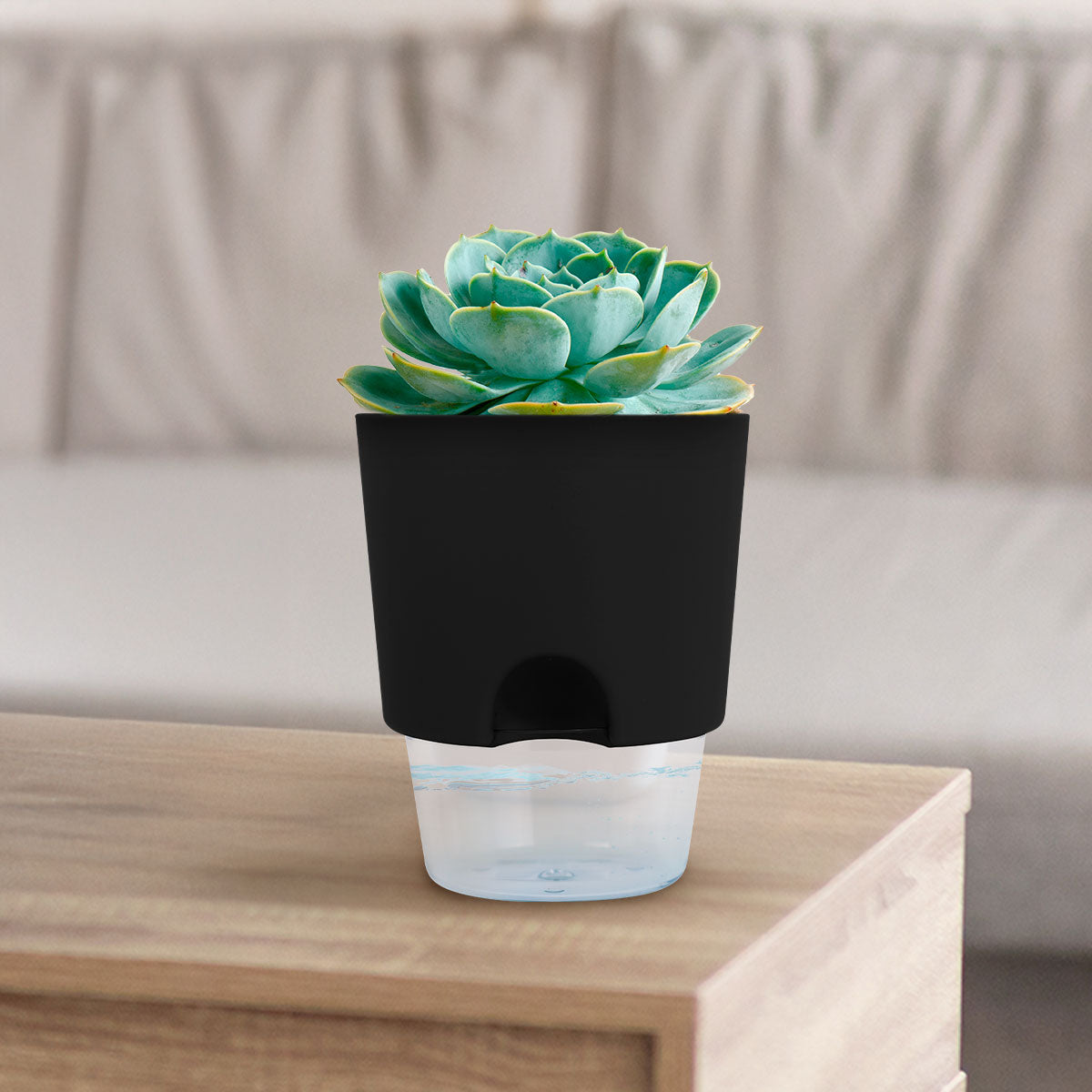 Maceta de Autorriego, Color Negro