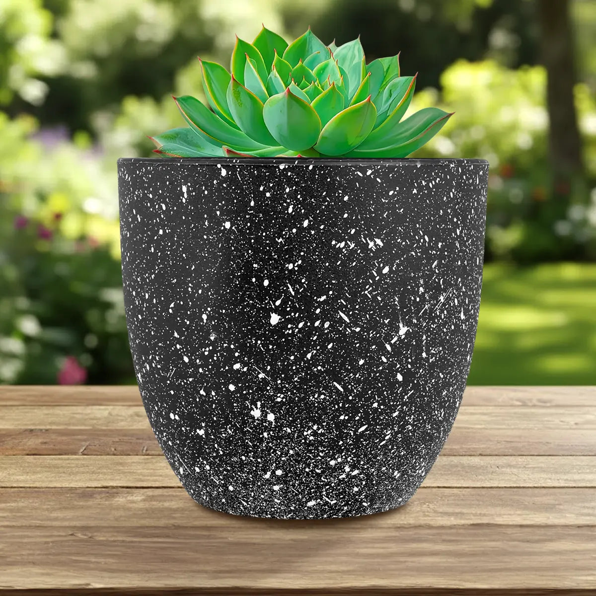 Maceta de Plástico, Diseño Puntos, Color Negro, 14x13 cm