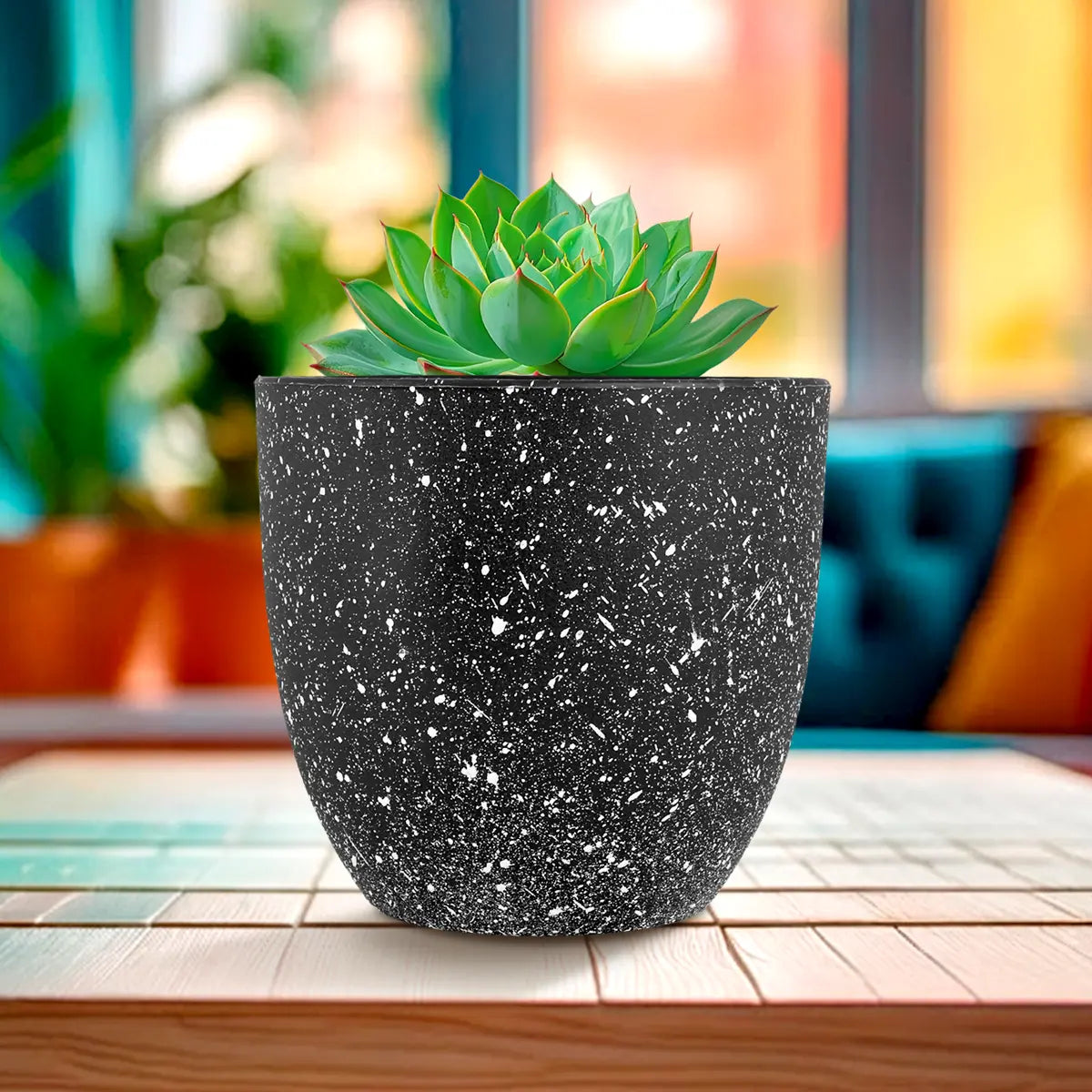 Maceta de Plástico, Diseño Puntos, Color Negro, 14x13 cm