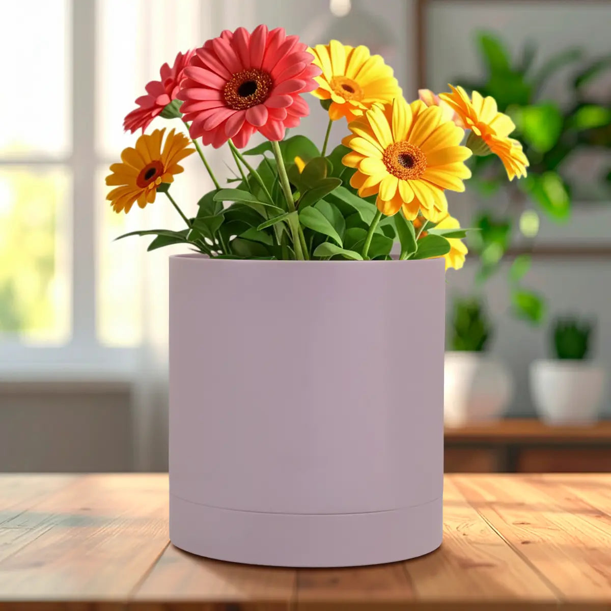 Maceta de Plástico, 12x13 cm