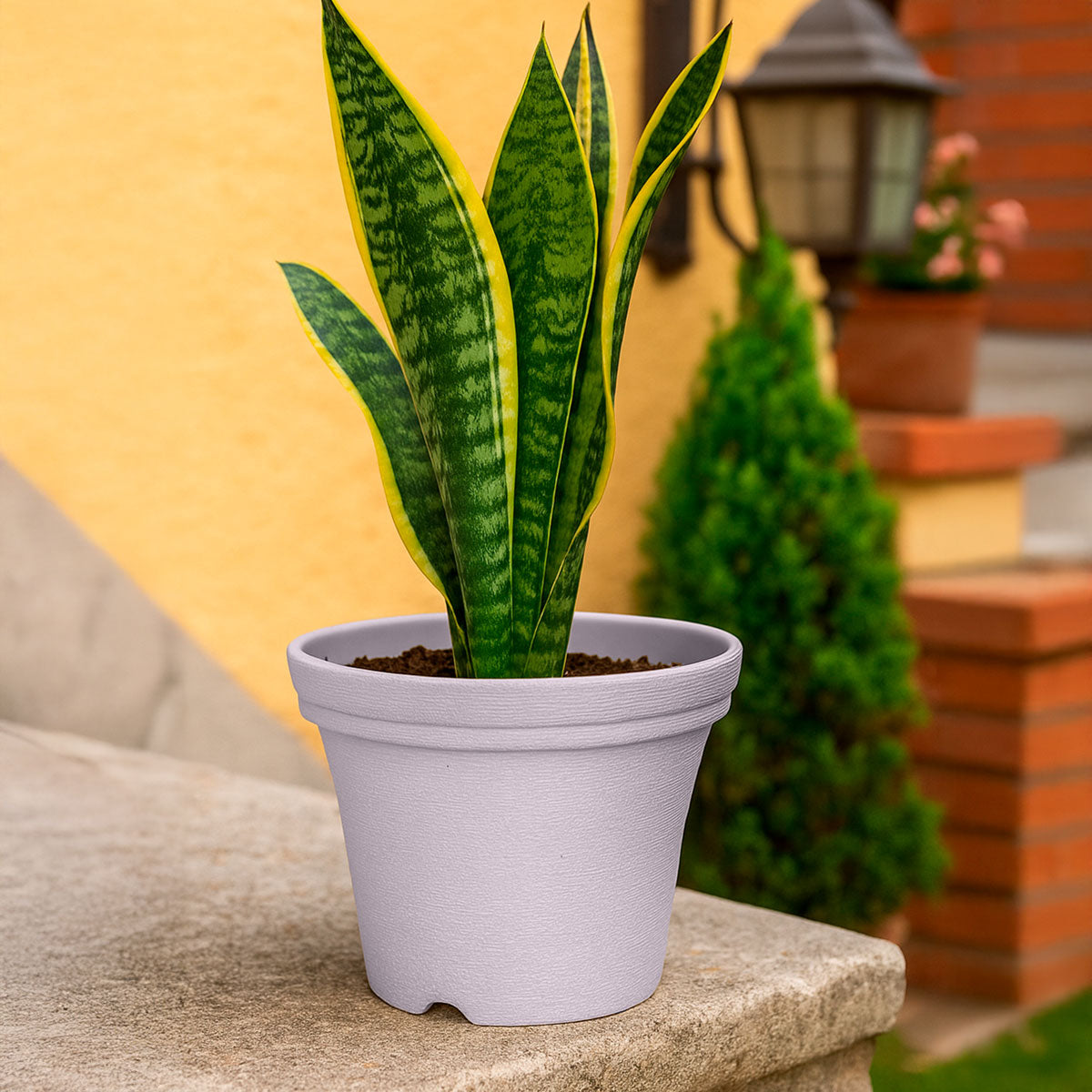 Maceta de Plástico, Color Gris, 15x12 cm