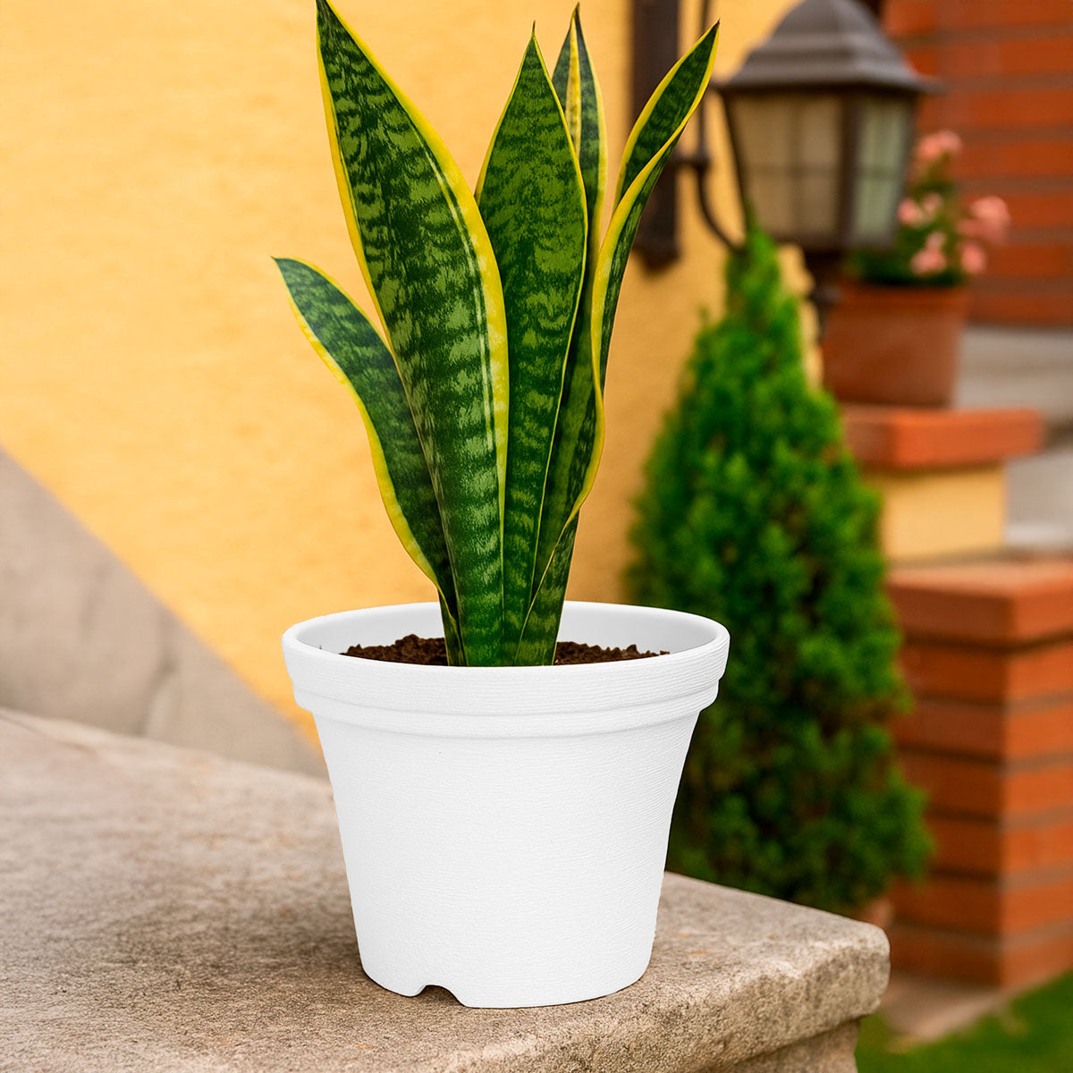 Maceta de Plástico, Color Blanco, 15x12 cm