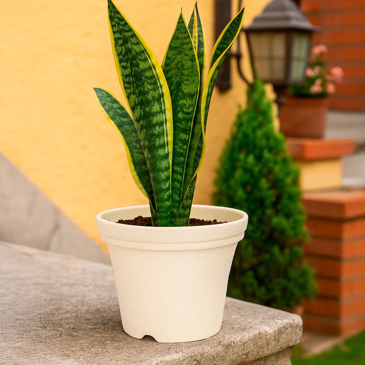 Maceta de Plástico, Color Crema, 15x12 cm