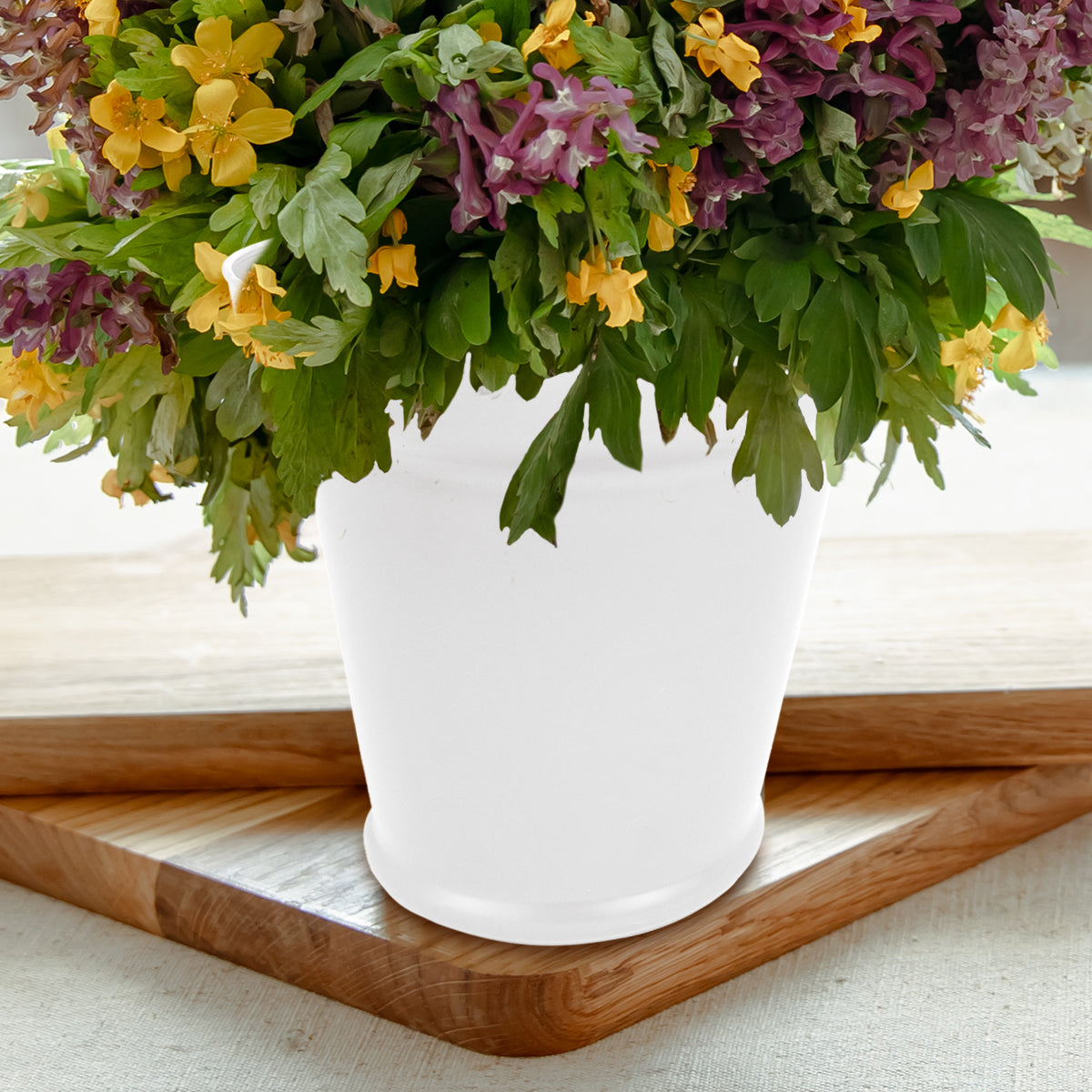 Maceta de Cristal, Color Blanco