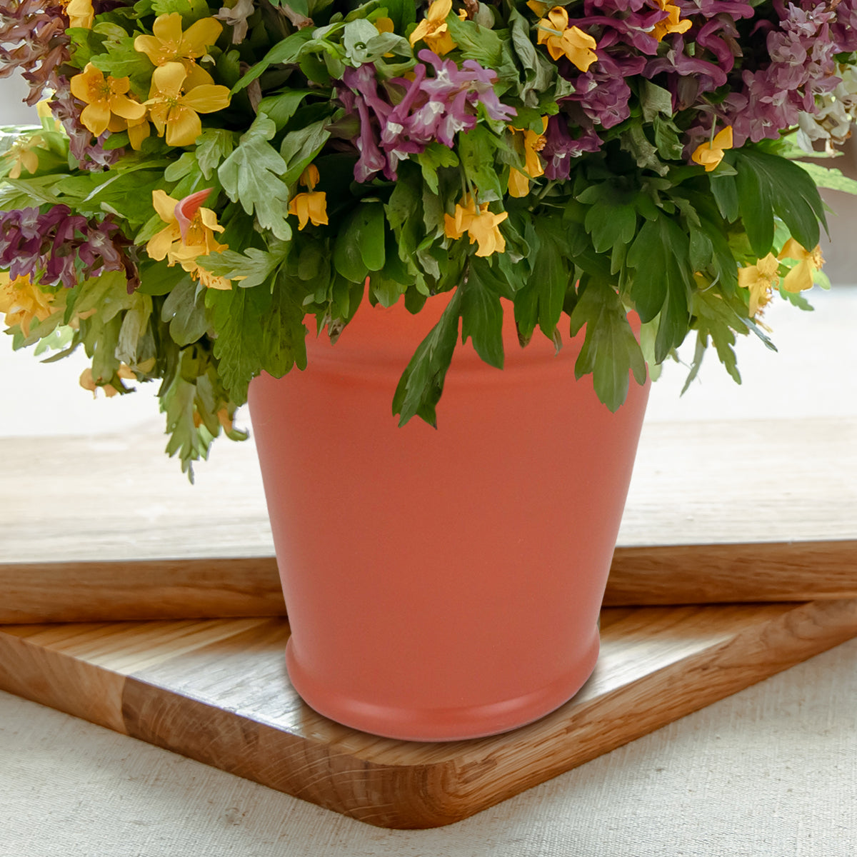 Maceta de Cristal, Color Terracota