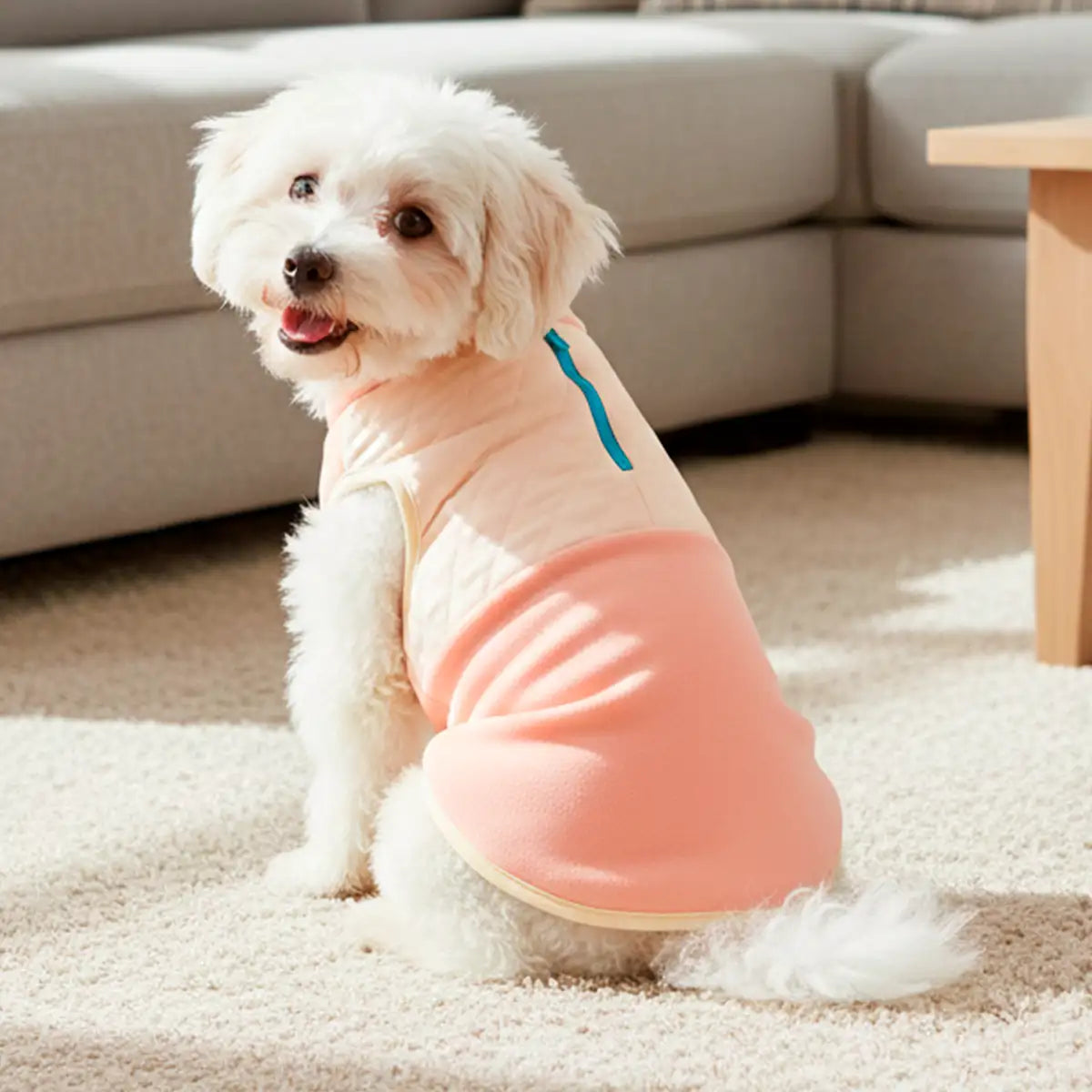 Chaleco para Mascota, Color Rosa