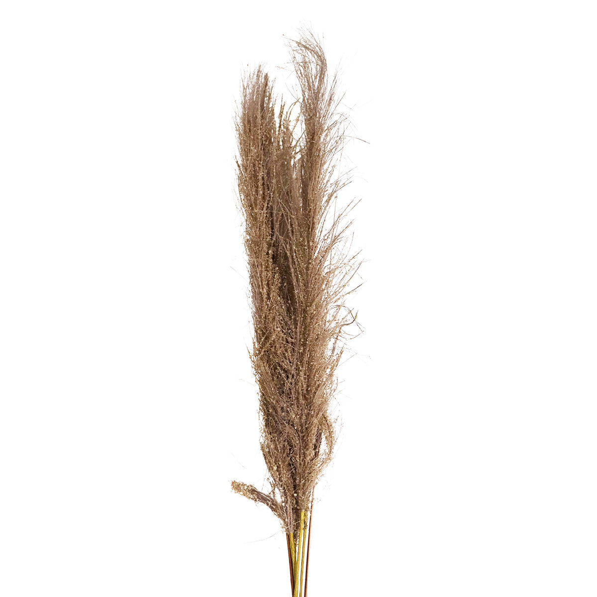 Vara de Follaje Artificial, Color Marrón, 70 cm