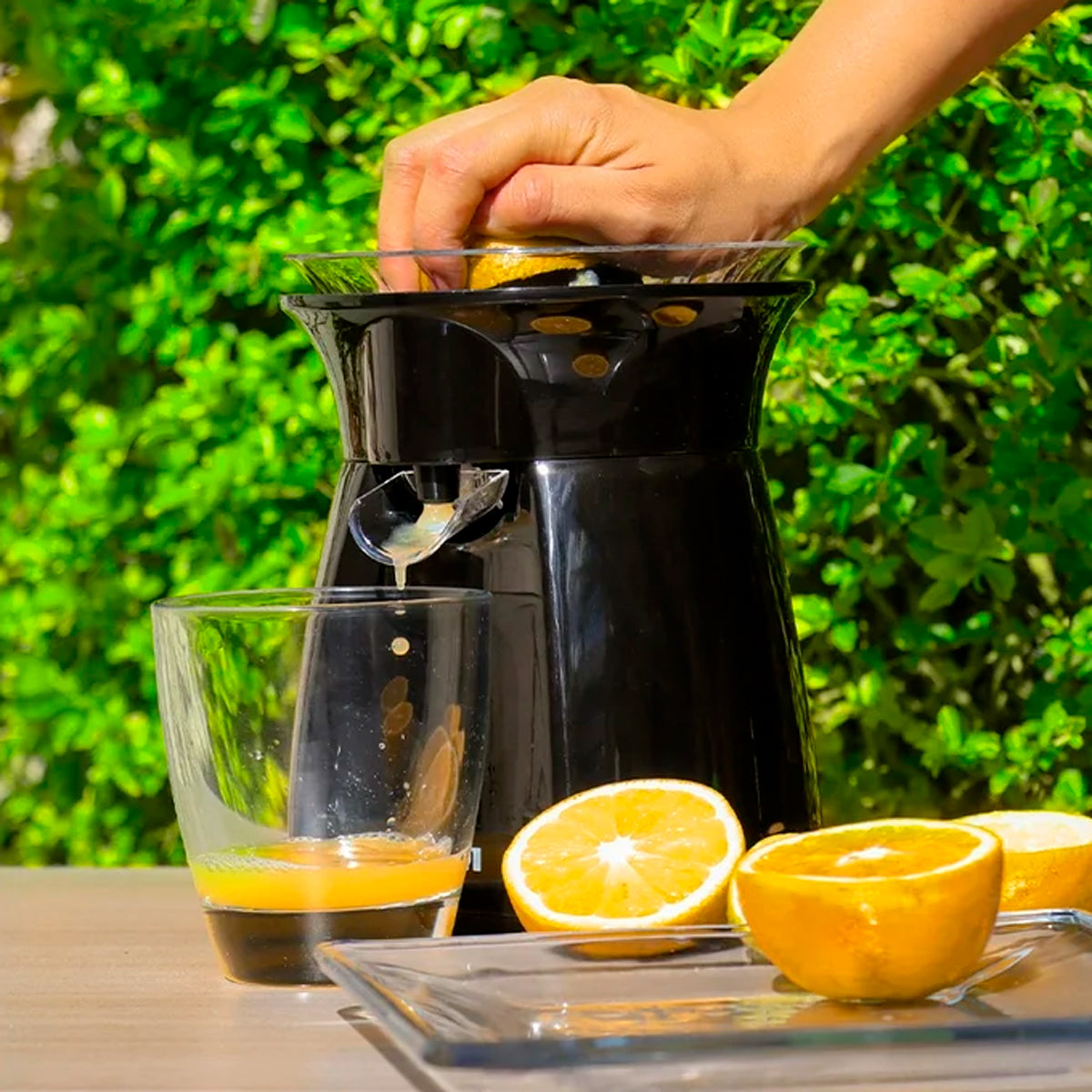 Exprimidor Eléctrico, RC-8004N, RCA