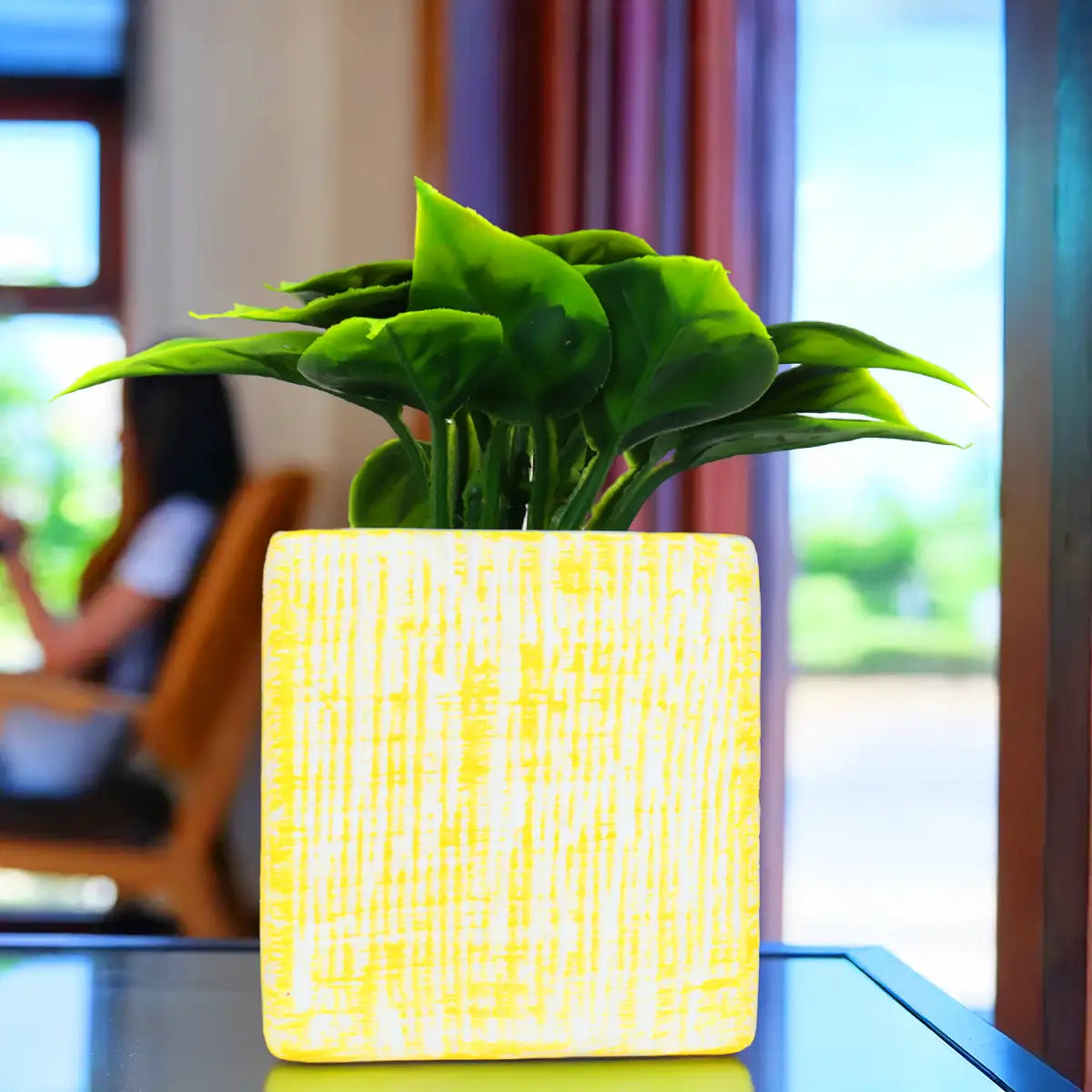 Planta con Maceta Cuadrada, Color Amarillo