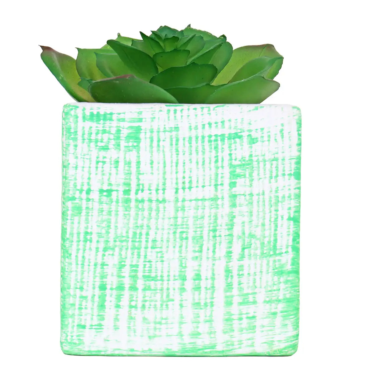 Planta con Maceta Cuadrada, Color Verde