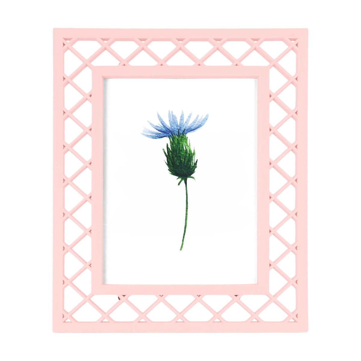 Portarretrato, Diseño Red, Color Rosa