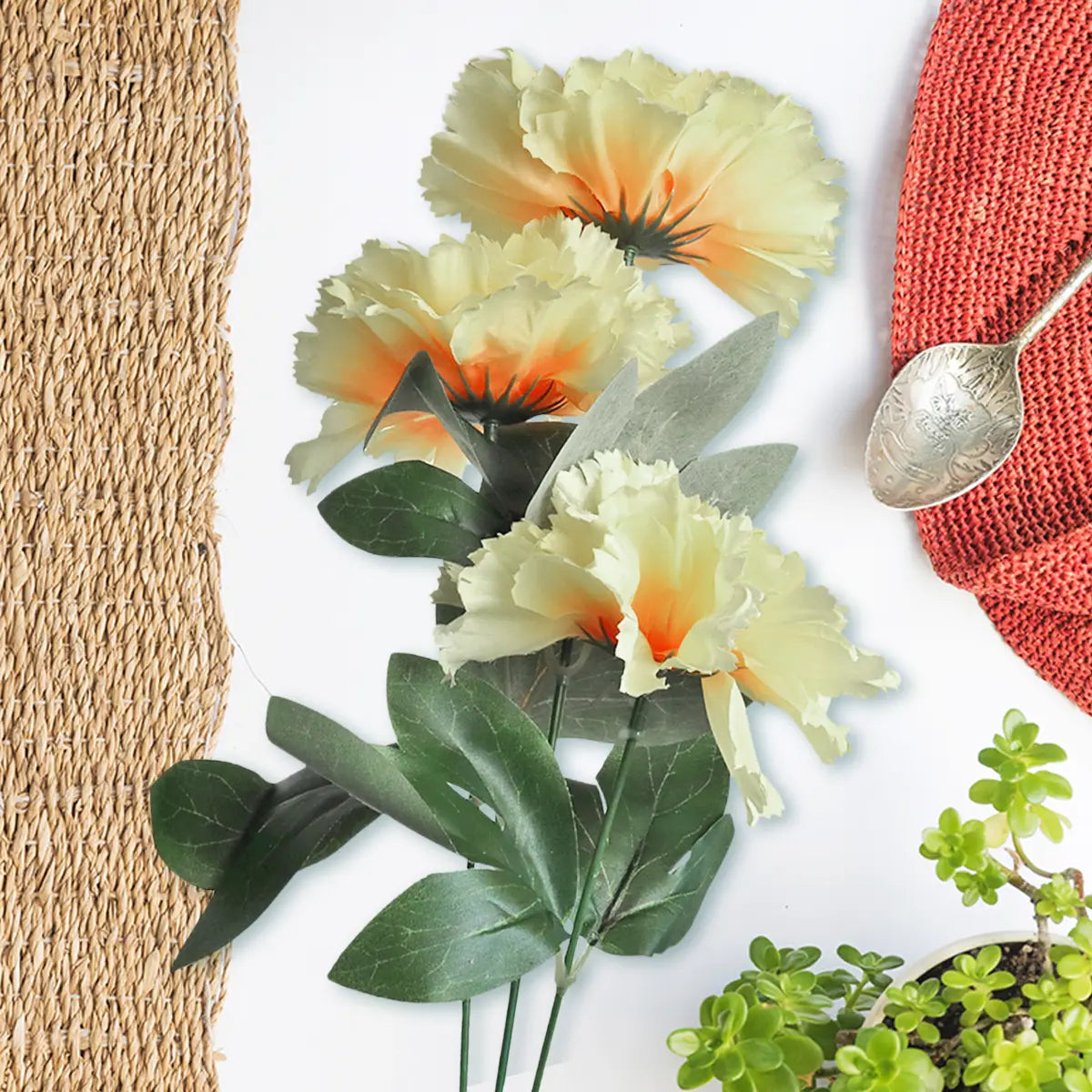 Ramo de Crisantemo, Color Beige