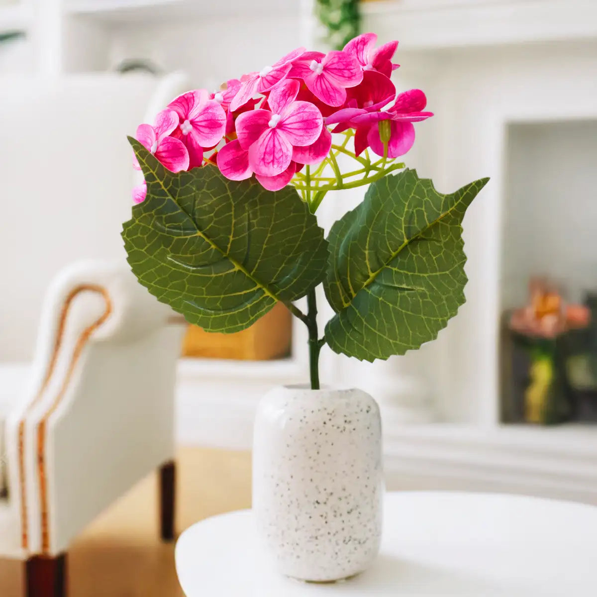 Hortensia, Color Rosa