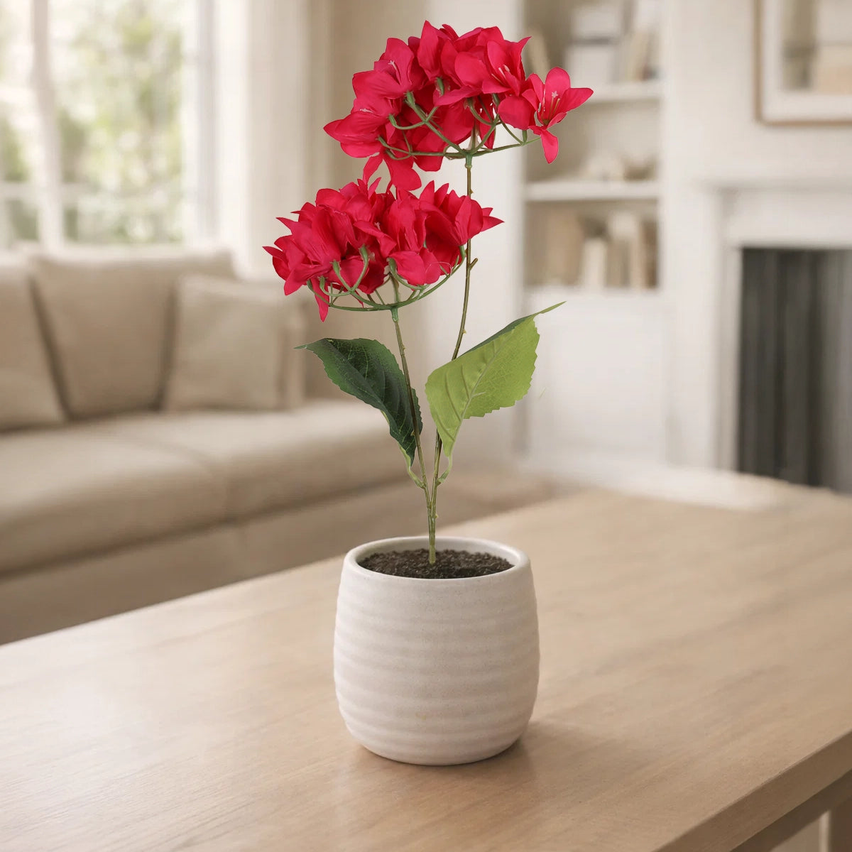 Bugambilia, 2 Flores, Color Fucsia