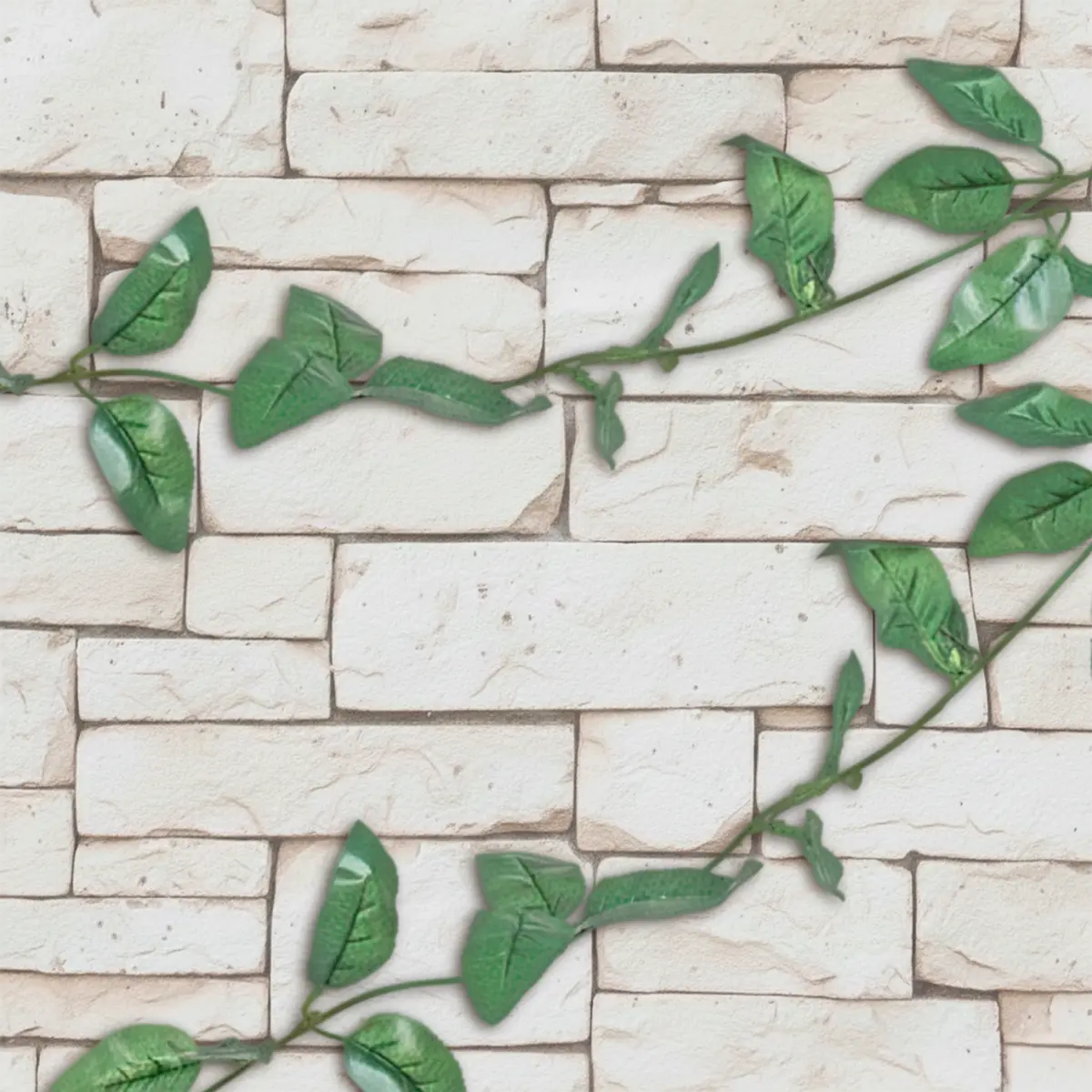 15 12AA ENREDADERA V1