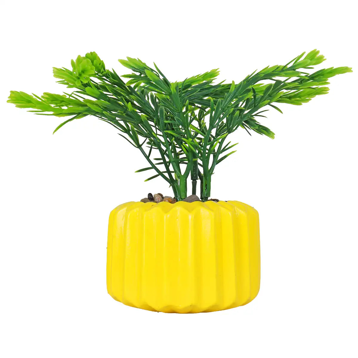 Planta con Diseño, Color Amarillo