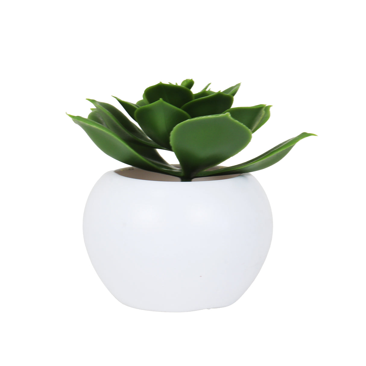 Suculenta Echeveria Artificial, Maceta Blanca
