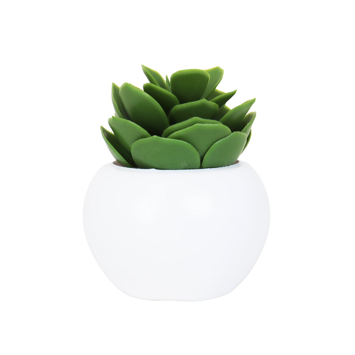 Suculenta Echeveria Artificial con Maceta