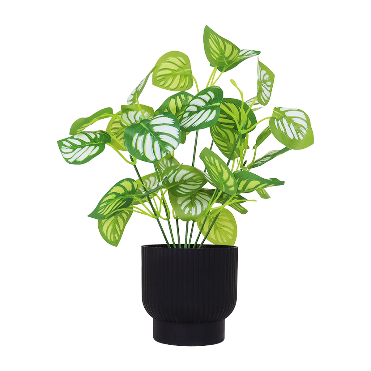 Calathea Artificial con Maceta Color Negro