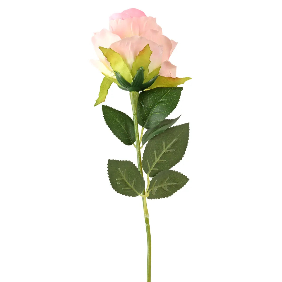 17 12AA FLOR ROSA INDIVIDUAL 2ROSA