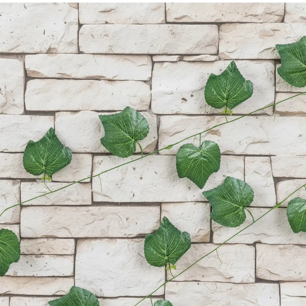 15 12AA ENREDADERA V5