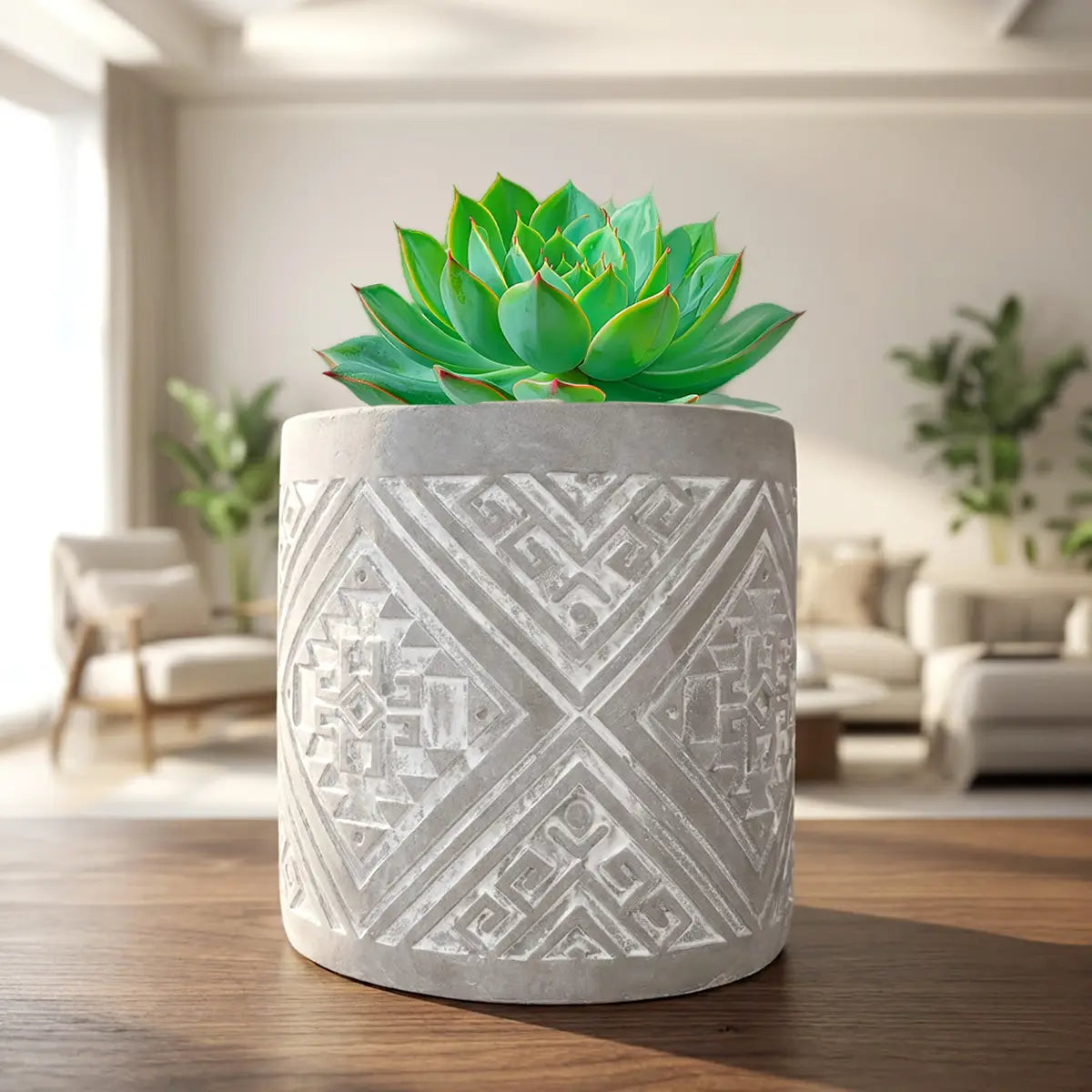 Maceta, Diseño Patrón, Color Gris