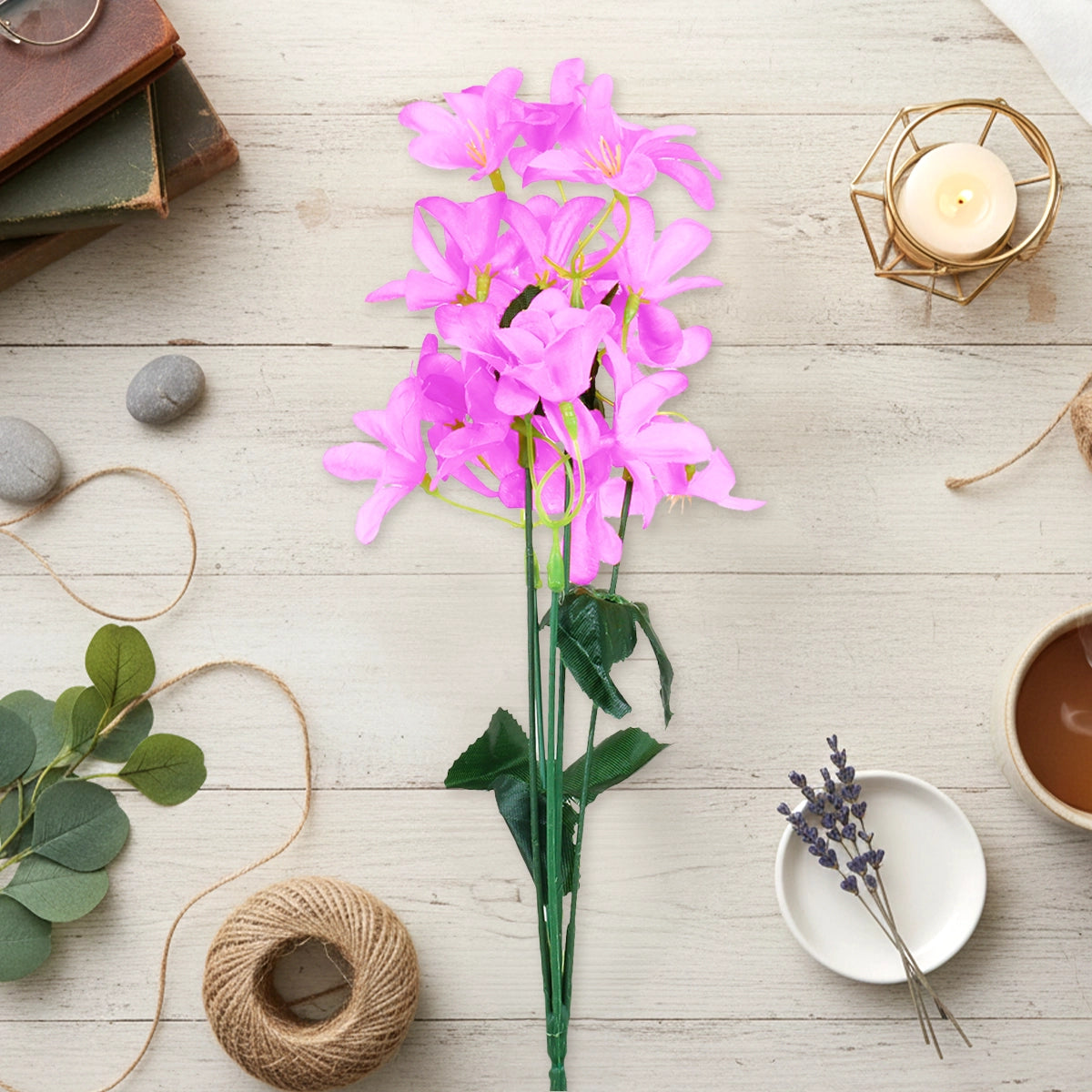 Magnolias, Color Lila