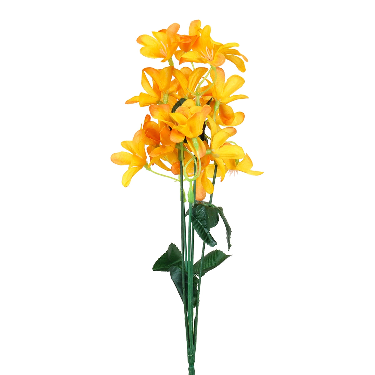 Magnolias, Color Amarillo