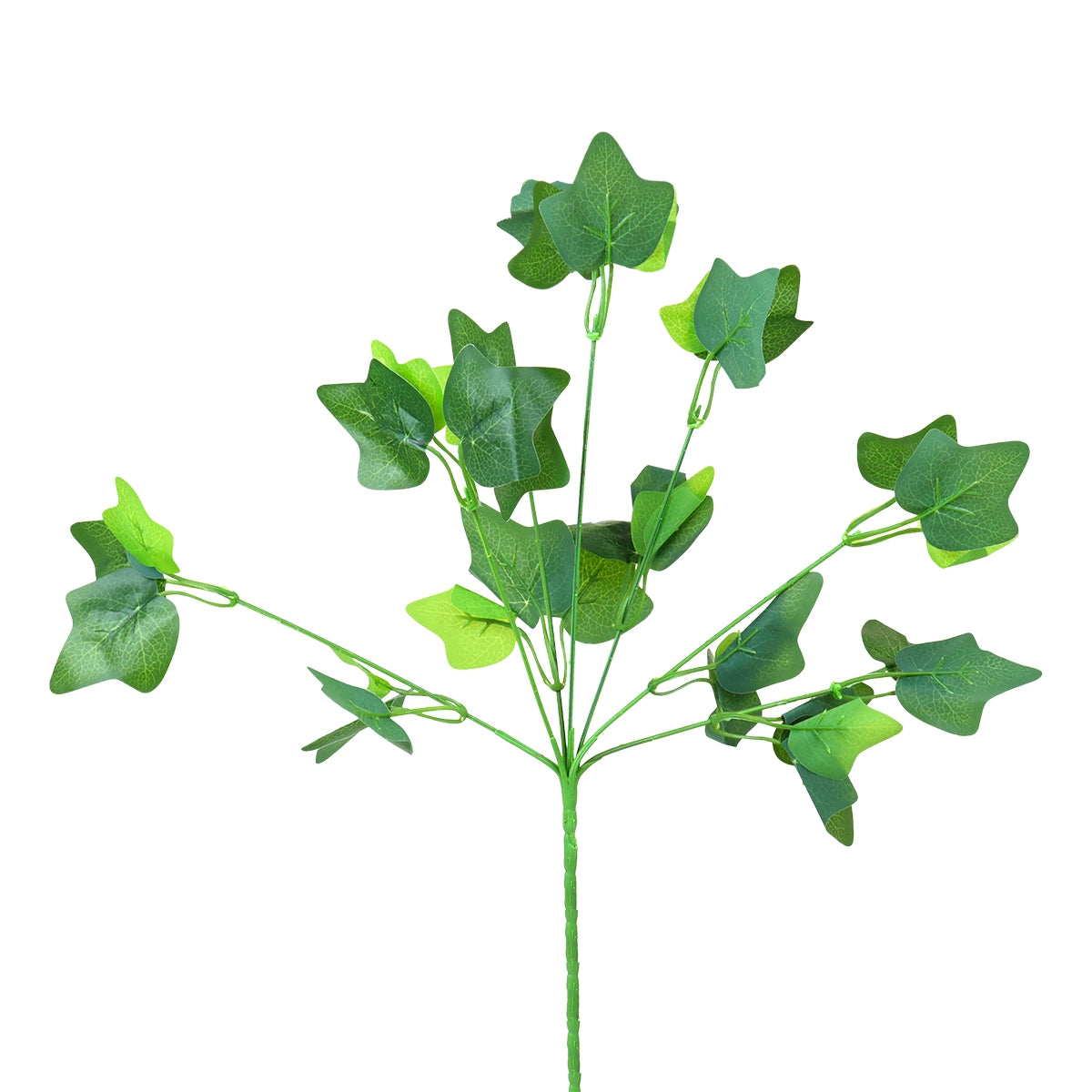 15 12AA RAMO DE FOLLAJE DE HIEDRA