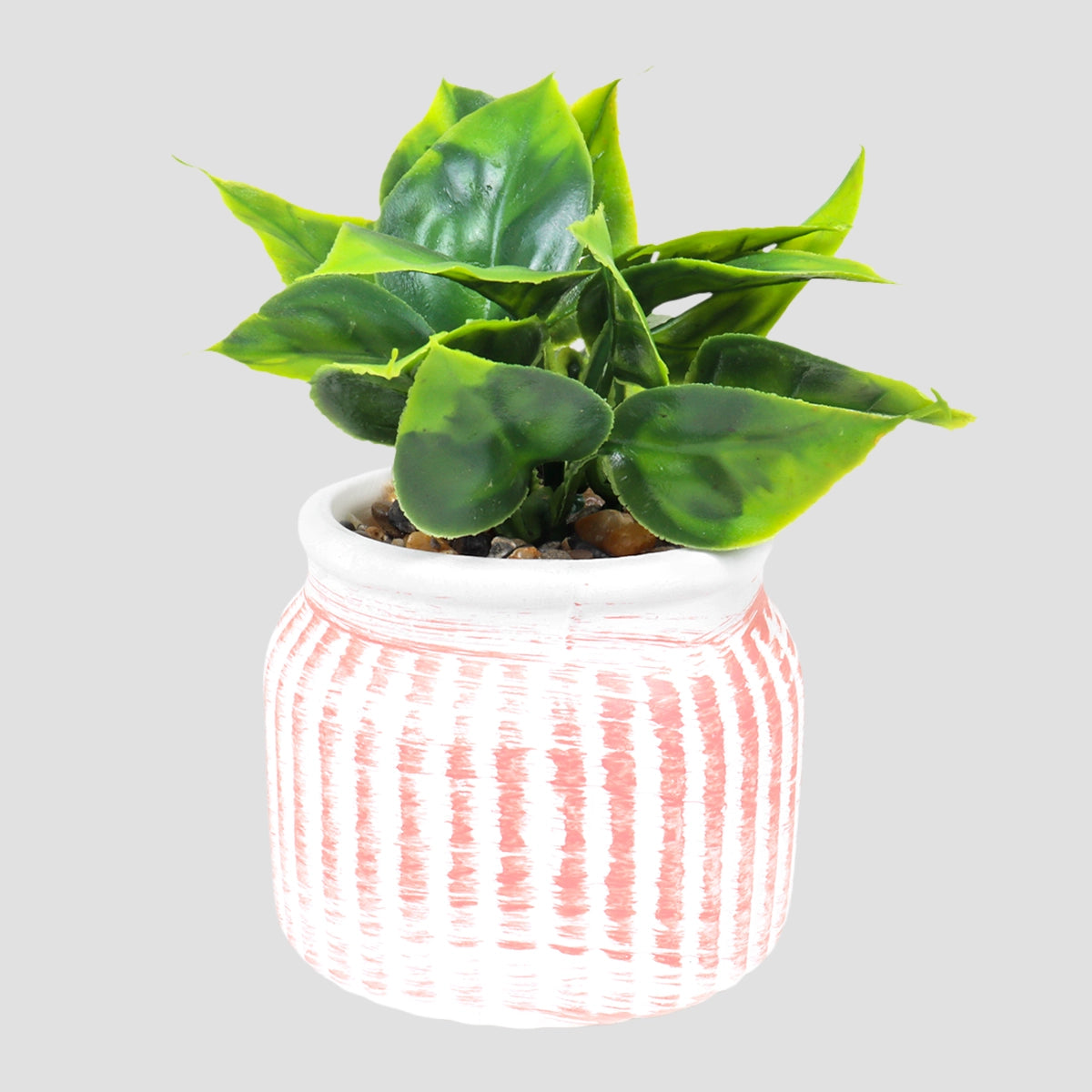 Planta con Maceta Circular, Color Naranja