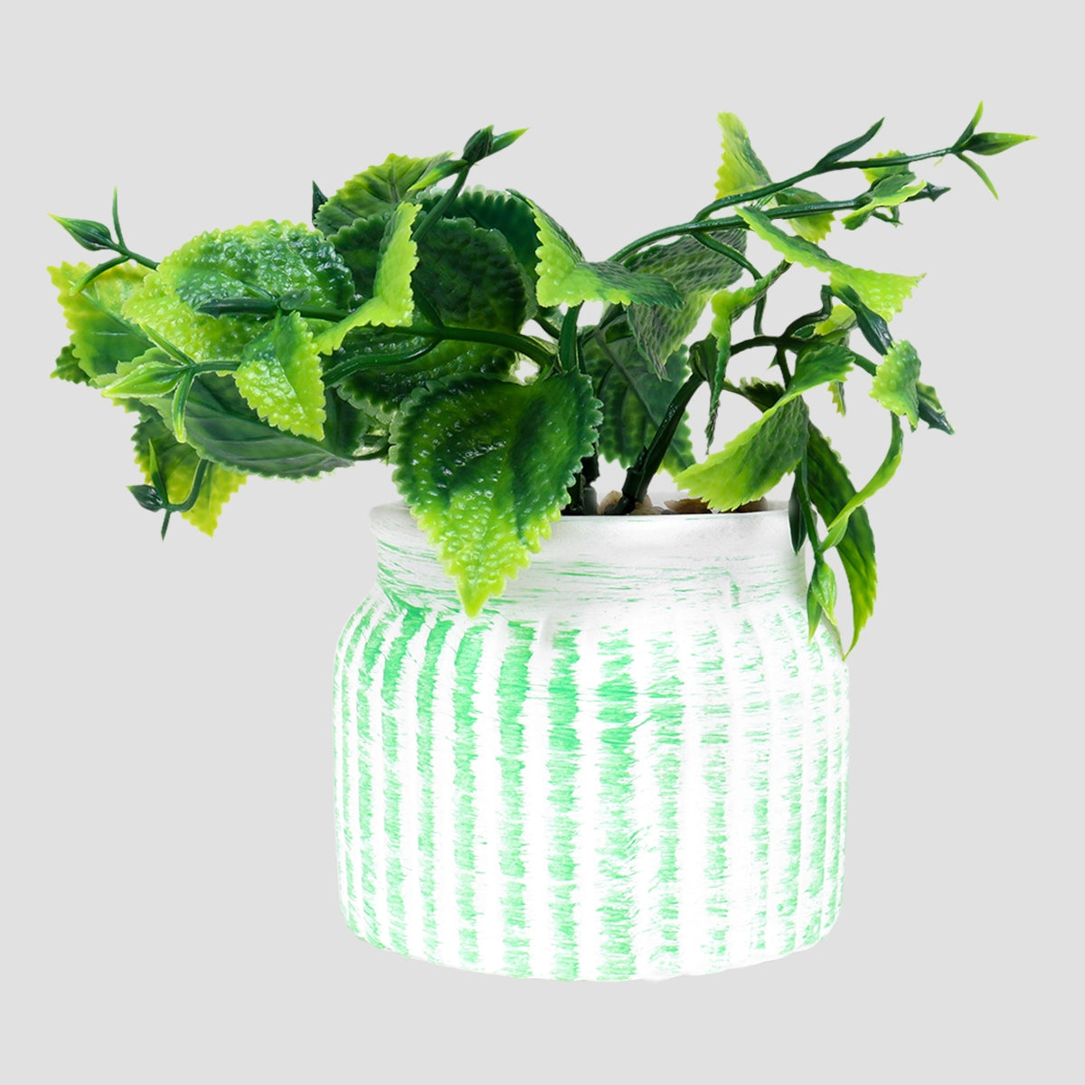 Planta con Maceta Circular, Color Verde