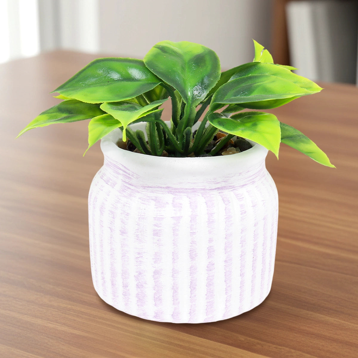 Planta con Maceta Circular, Color Morado