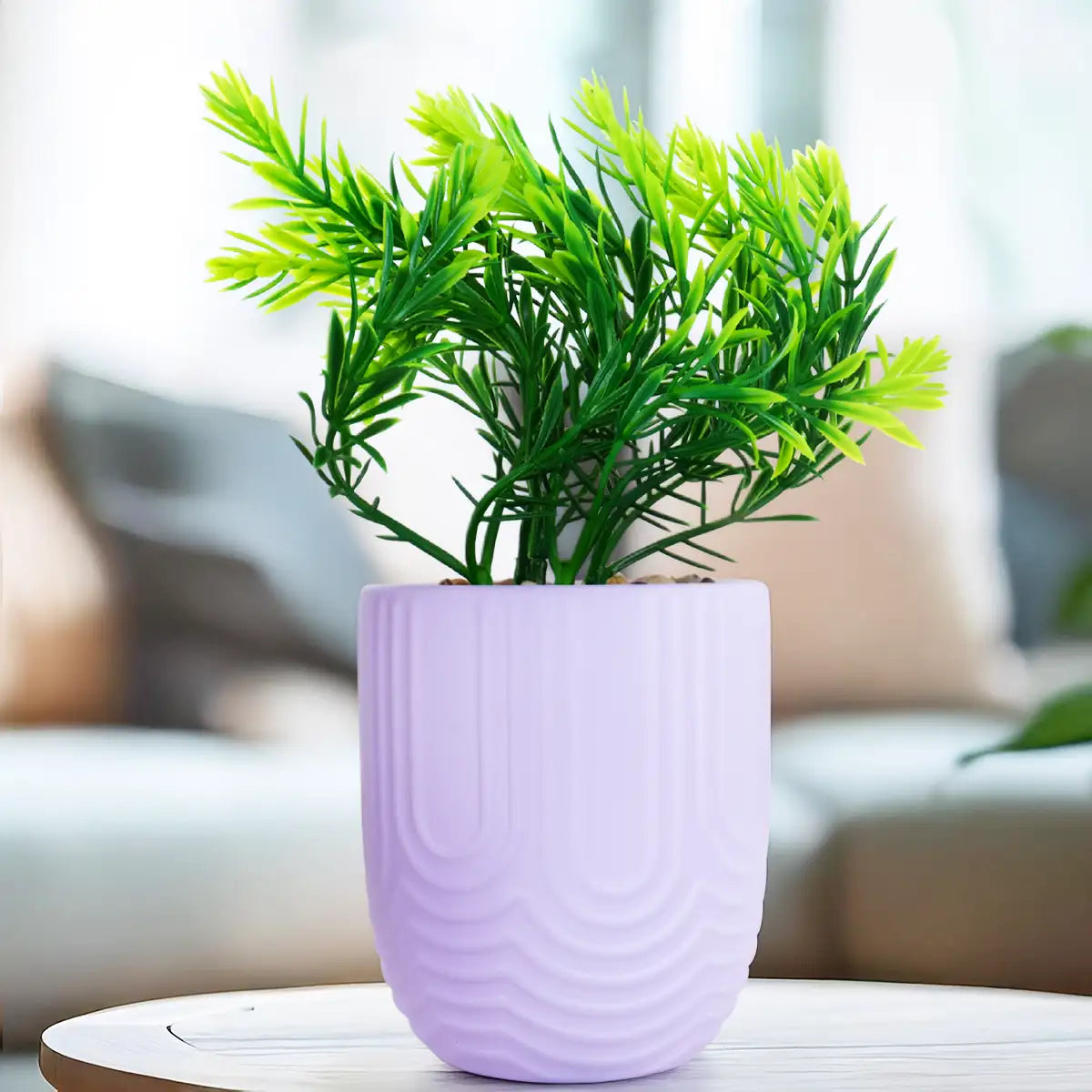 Planta con Maceta, Textura Arcoíris, Color Morado