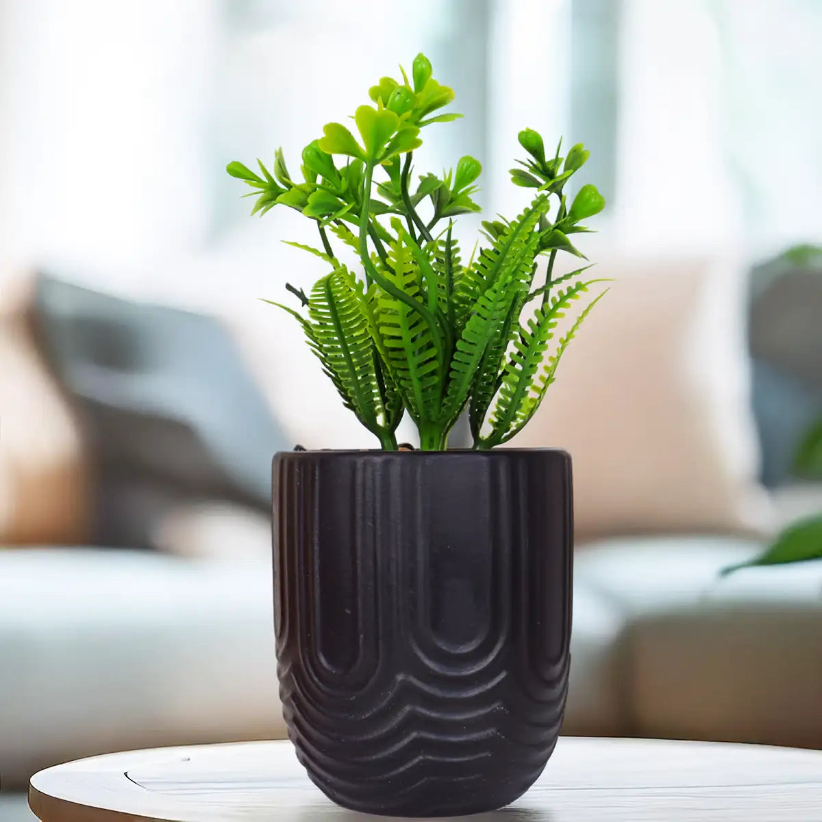 Planta con Maceta, Textura Arcoíris, Color Negro