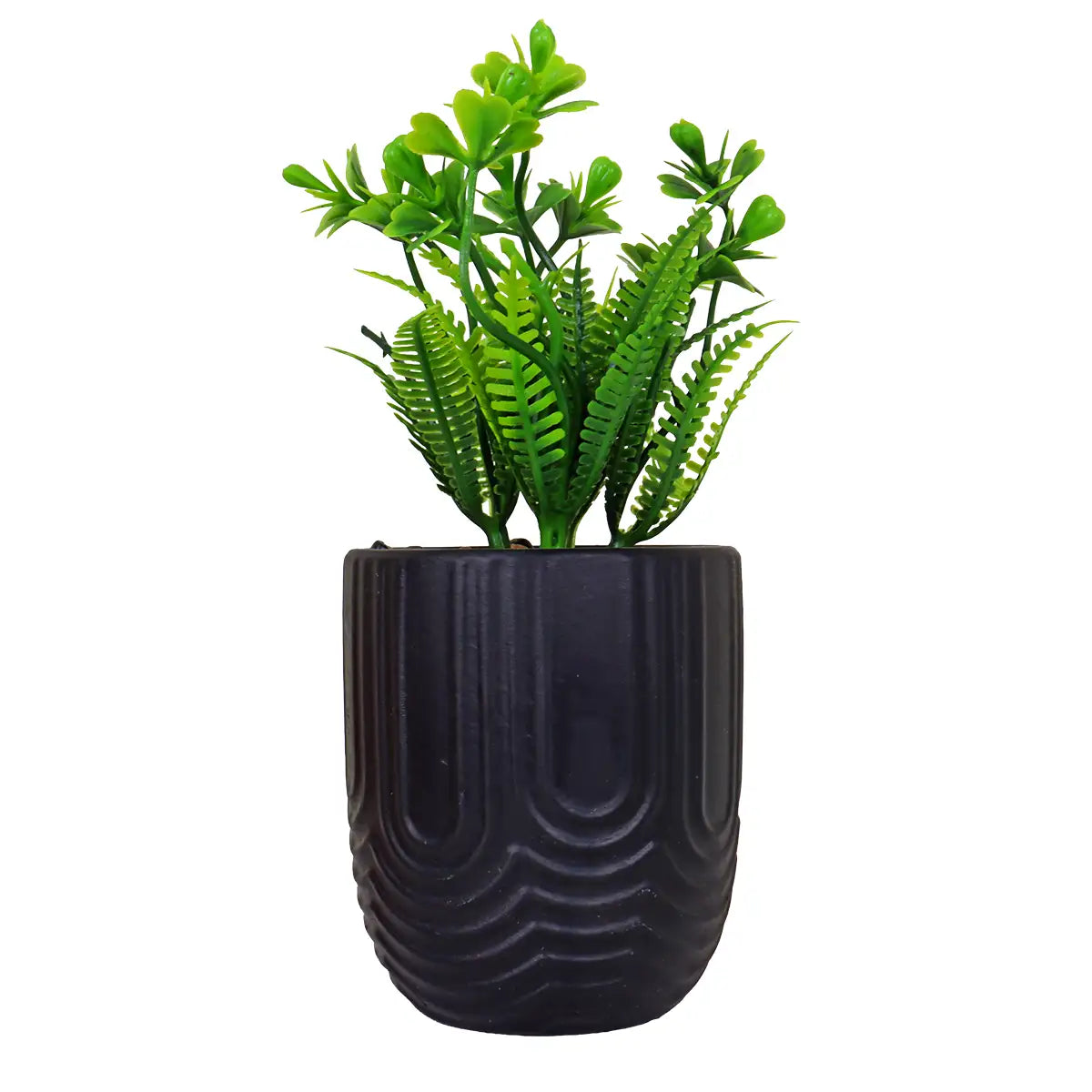 Planta con Maceta, Textura Arcoíris, Color Negro